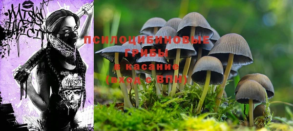 мет Верхний Тагил