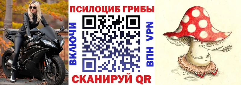 Псилоцибиновые грибы MAGIC MUSHROOMS  omg   Курск 