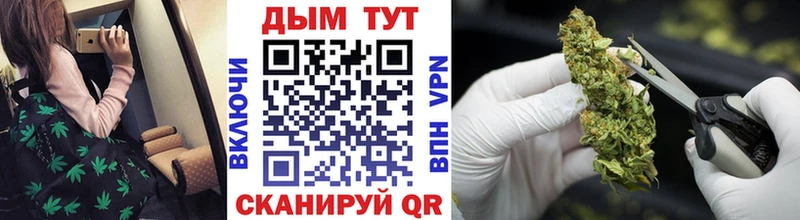 Канабис планчик  как найти закладки  Курск 